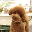 ひなたのプロフィール画像