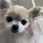 りんりんのプロフィール画像