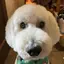こなつのプロフィール画像