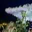 清水 花のプロフィール画像
