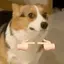 kkkkakinのプロフィール画像