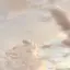 namiのプロフィール画像