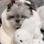 ℳのプロフィール画像