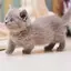 あやちゃんのプロフィール画像