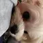 nanaのプロフィール画像