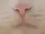 222のプロフィール画像