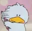 chiiのプロフィール画像