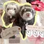 nagisaのプロフィール画像
