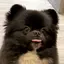 なのプロフィール画像