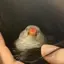 みやこのプロフィール画像