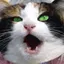 ごろんのプロフィール画像