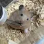 あやのプロフィール画像