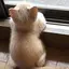 Nのプロフィール画像