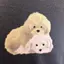 おぎのプロフィール画像