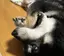 結菜のプロフィール画像