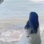はっちゃんのプロフィール画像