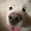 ばすのプロフィール画像