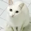 ioのプロフィール画像