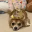 SAYKのプロフィール画像