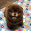 のんのプロフィール画像