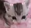 ゆちのプロフィール画像