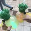 しょこのプロフィール画像