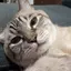 ふうのプロフィール画像