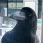 リスのプロフィール画像