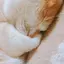り〜のプロフィール画像