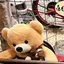 さなのプロフィール画像