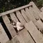 こーちゃんのプロフィール画像