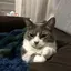 ちさまのプロフィール画像