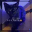 アベのプロフィール画像