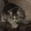 nyaのプロフィール画像