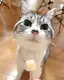 みゆのプロフィール画像