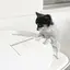 Ⓜ︎のプロフィール画像