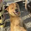 ユのプロフィール画像