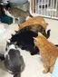 ちゃ〜すけラブのプロフィール画像