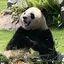亜加梨のプロフィール画像