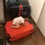 サランウィットのプロフィール画像