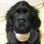 Rinaのプロフィール画像