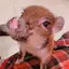 あやちゃんのプロフィール画像