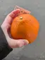 みかんのプロフィール画像