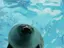 ayakaのプロフィール画像