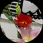 リナのプロフィール画像