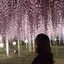 わかたのプロフィール画像