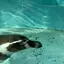 こなつのプロフィール画像