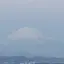 百夏のプロフィール画像