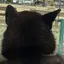 ひとむーのプロフィール画像
