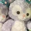 Aのプロフィール画像